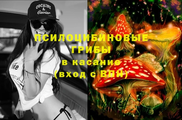 не бодяженный Нефтегорск