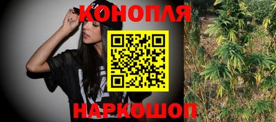 СК Севастополь
