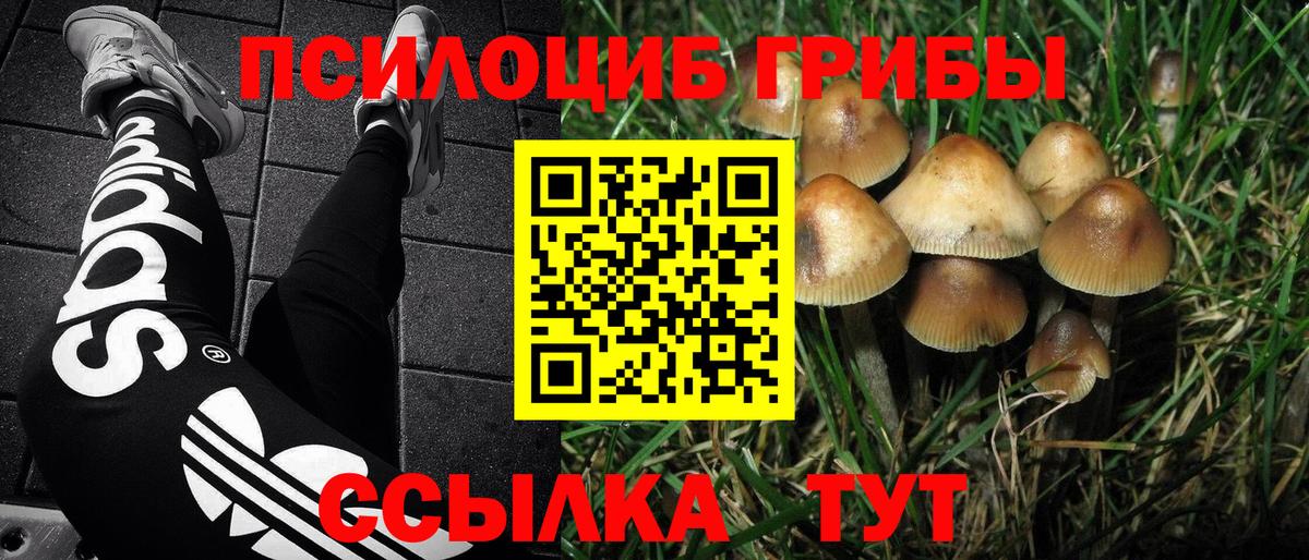Псилоцибиновые грибы Magic Shrooms Находка