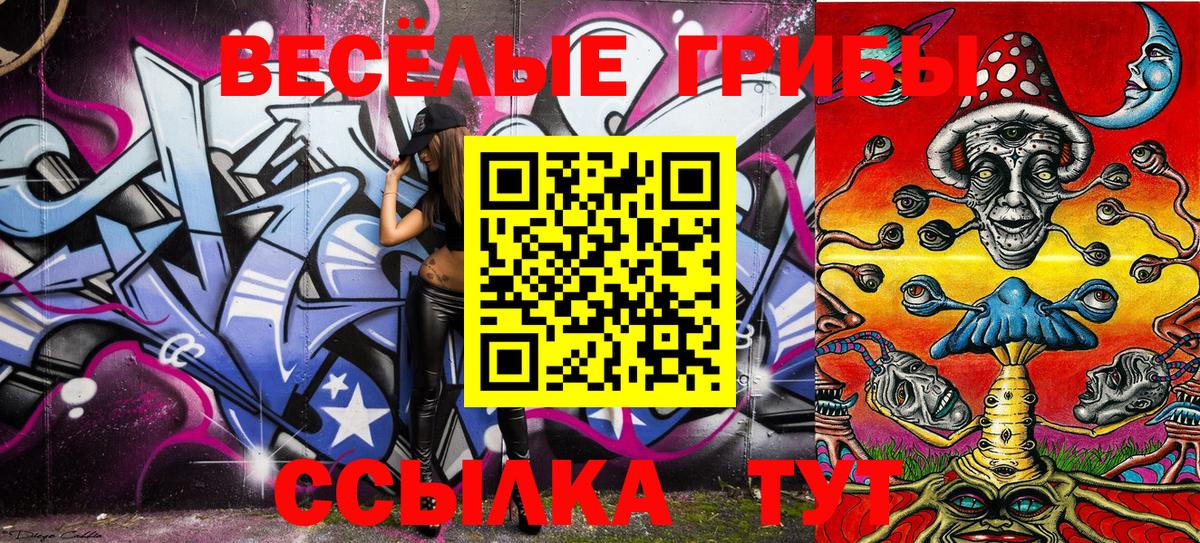 Псилоцибиновые грибы Psilocybe  Вход с VPN  Находка 