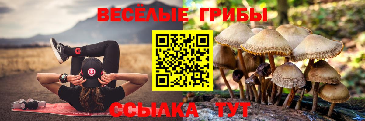 Псилоцибиновые грибы Находка